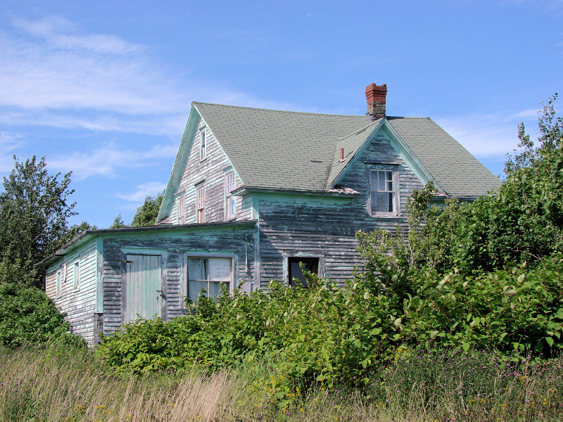 House in Conception Harbour
