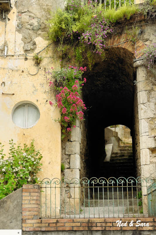 archway and  flowers