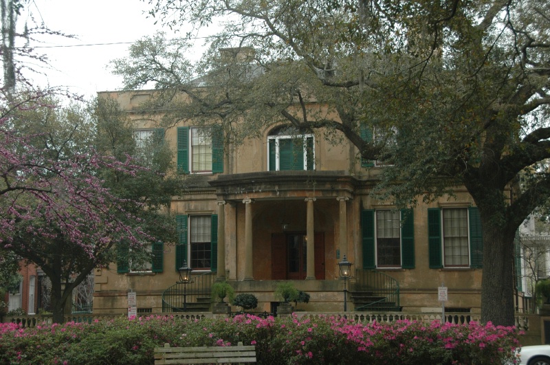Savannah