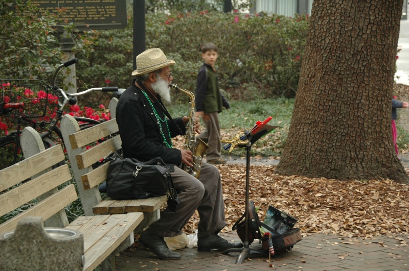 Savannah