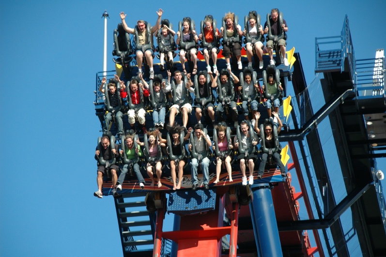 Sheikra at Busch Gardens