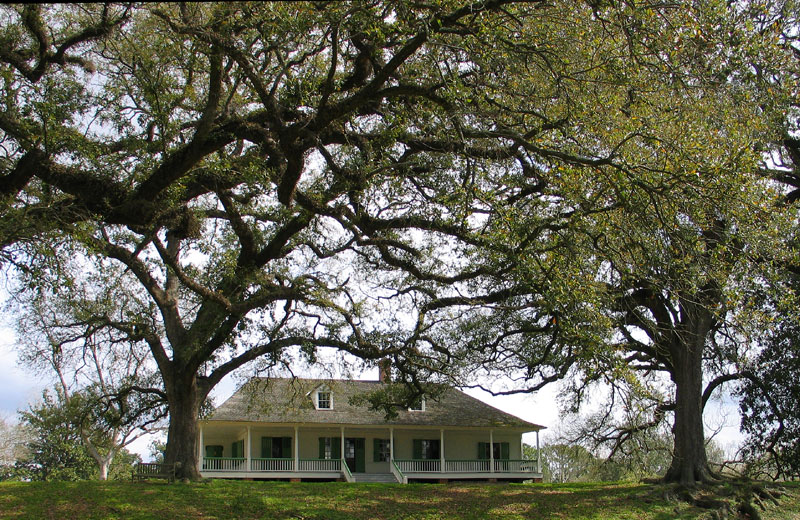 Magnolia Mound
