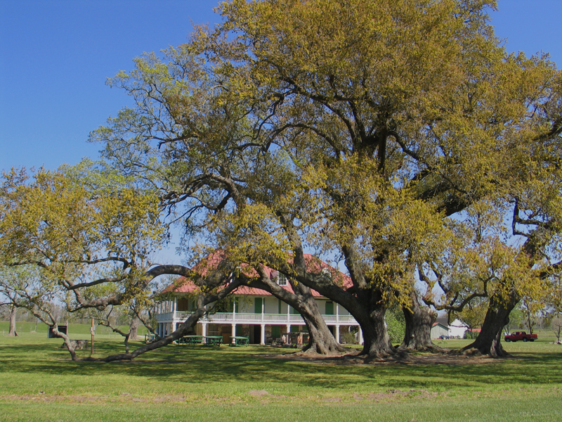 Home Place in Hahnville, Louisiana