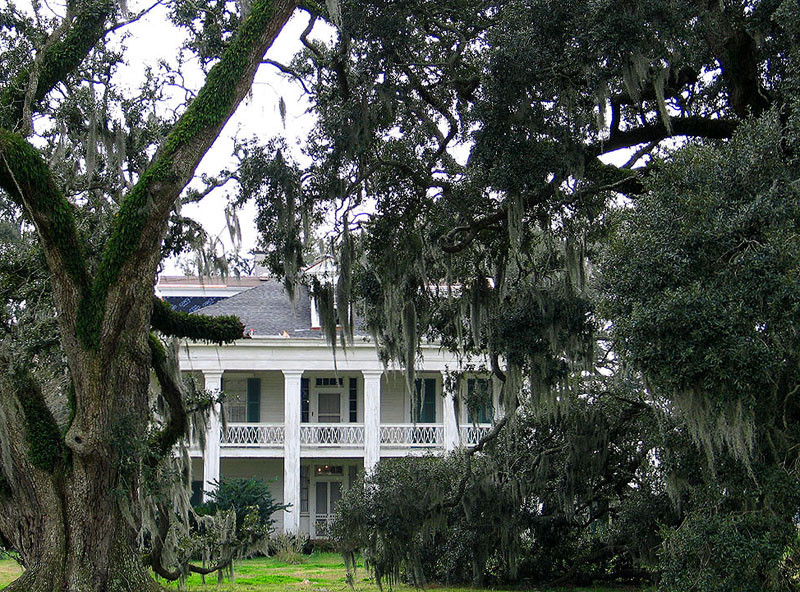 Felicity Plantation