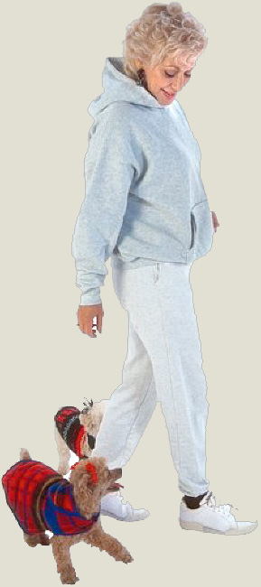 Hemera Photo Clipart: Walk the Dogs