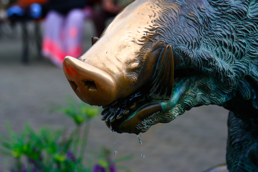 Boar Statue