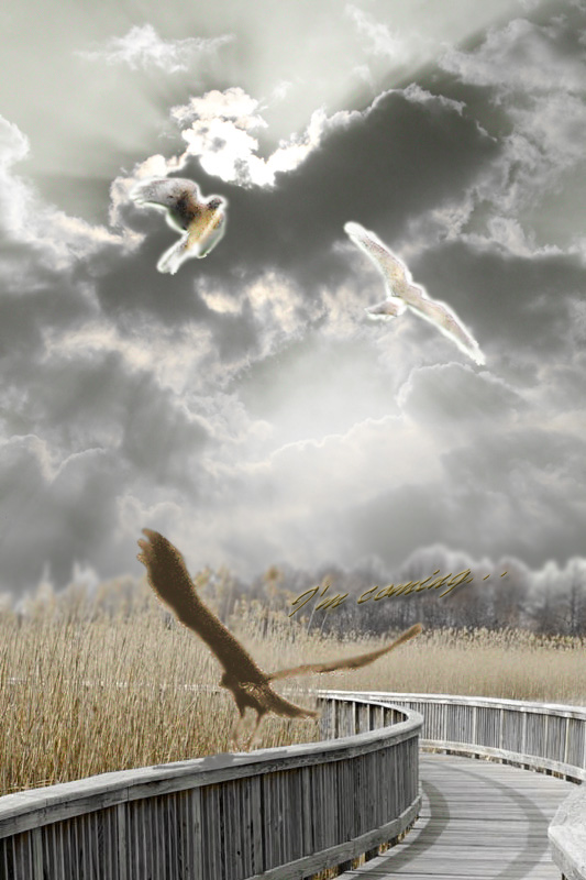 May you dance forever, Sky