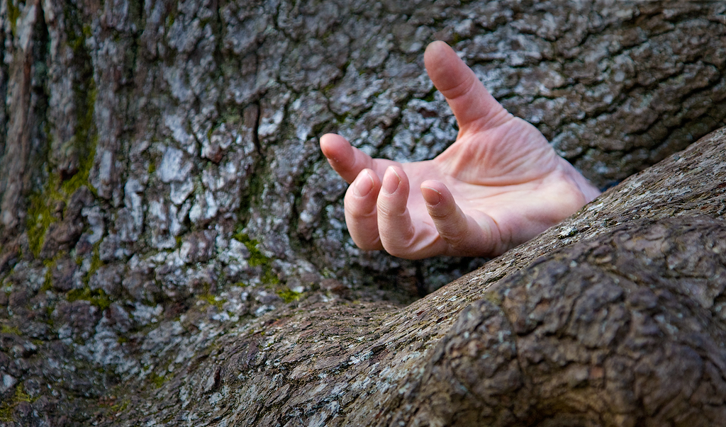 Tree Hand