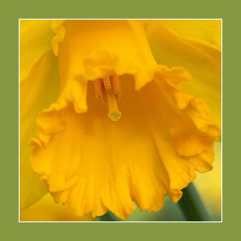 Springtime