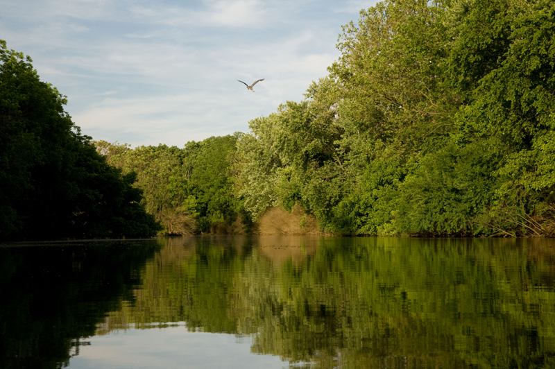D71_5103-1.jpg