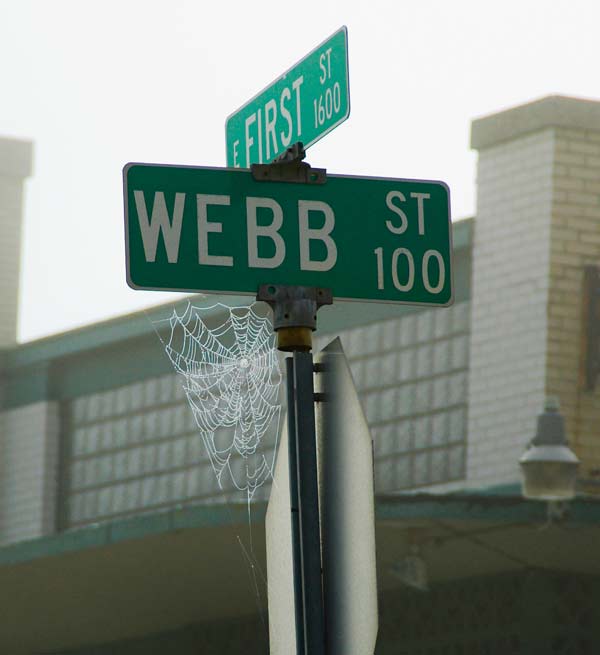 Web-St_4171-01.jpg