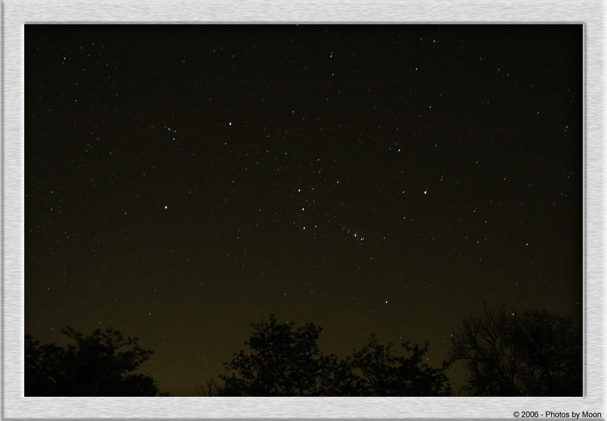 November 14th, 2006 - Orion Rising Over The Trees 6264