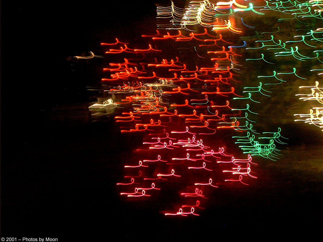 X-Mas Lights 616.jpg