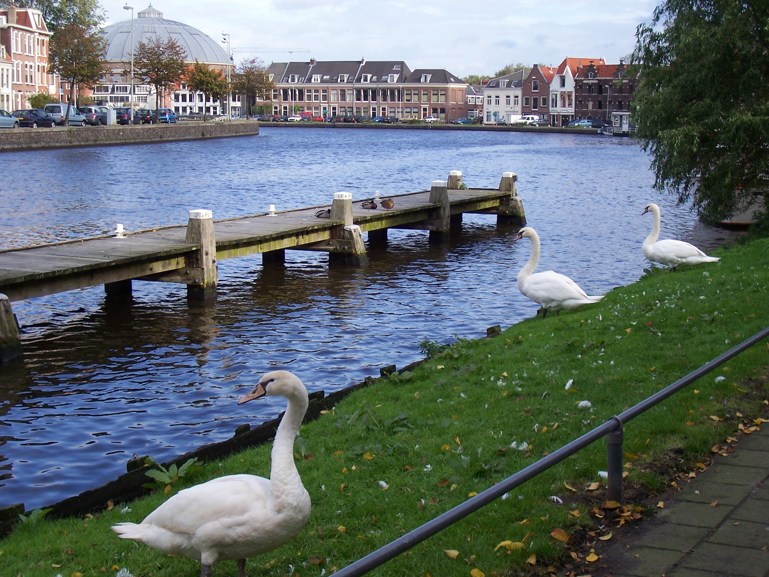 100_1541.JPG