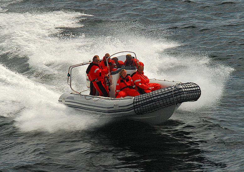Seven Danes Out For A Joy Ride