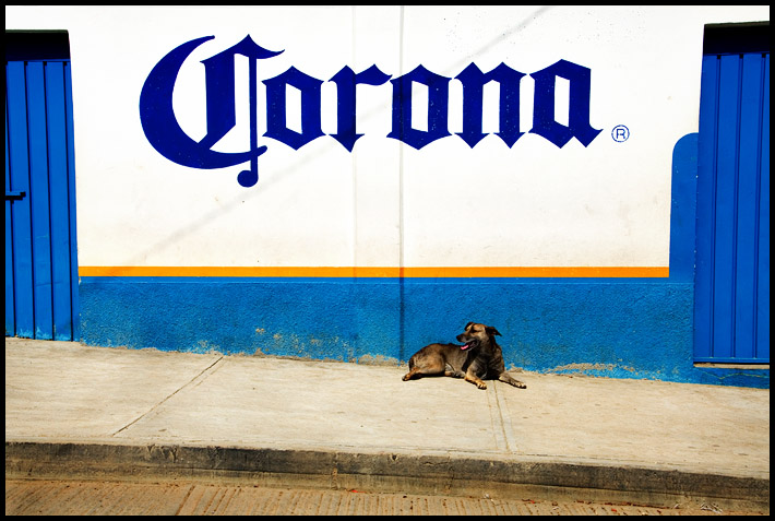 Corona