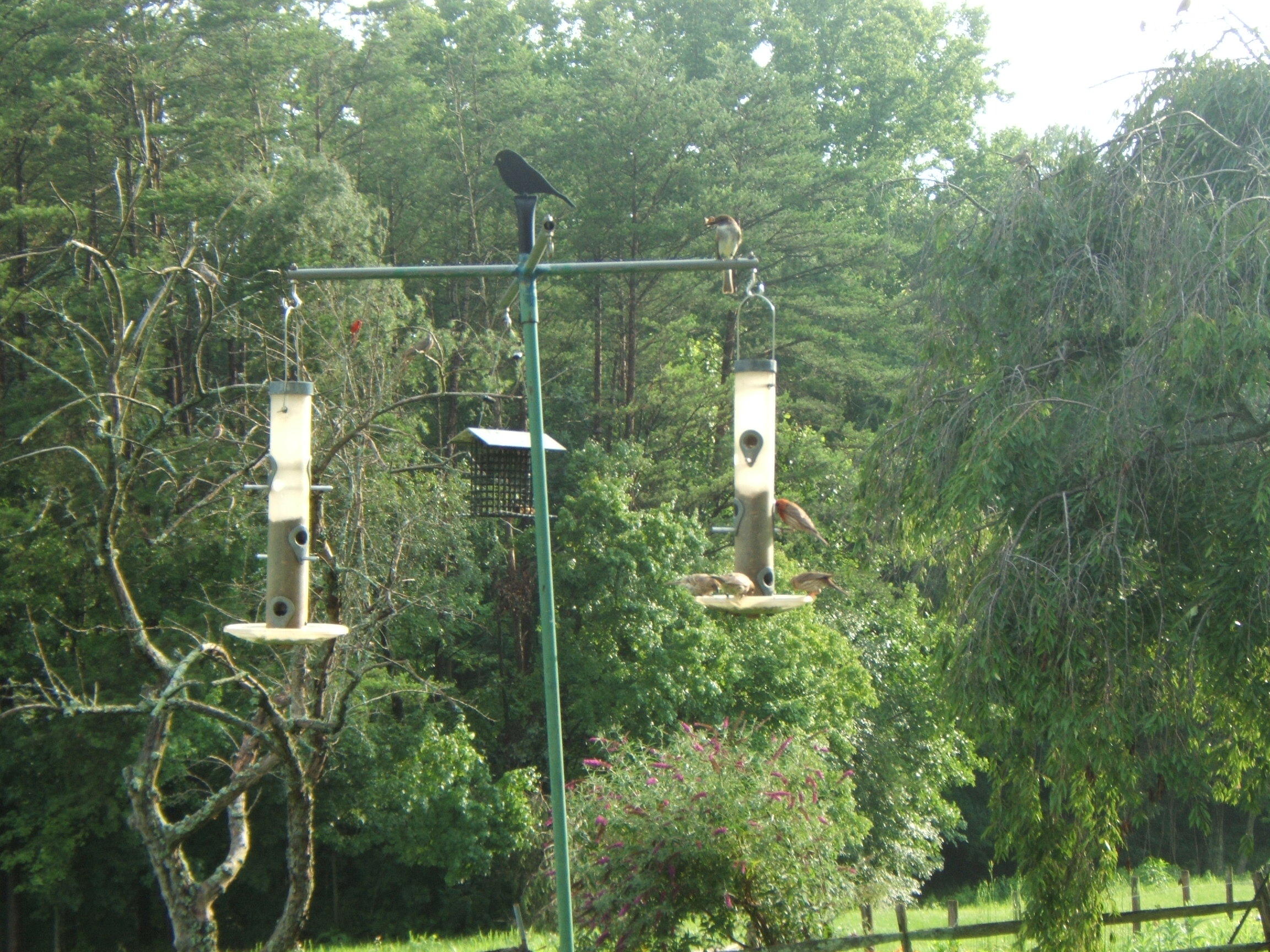 THE GATHERING PLACE