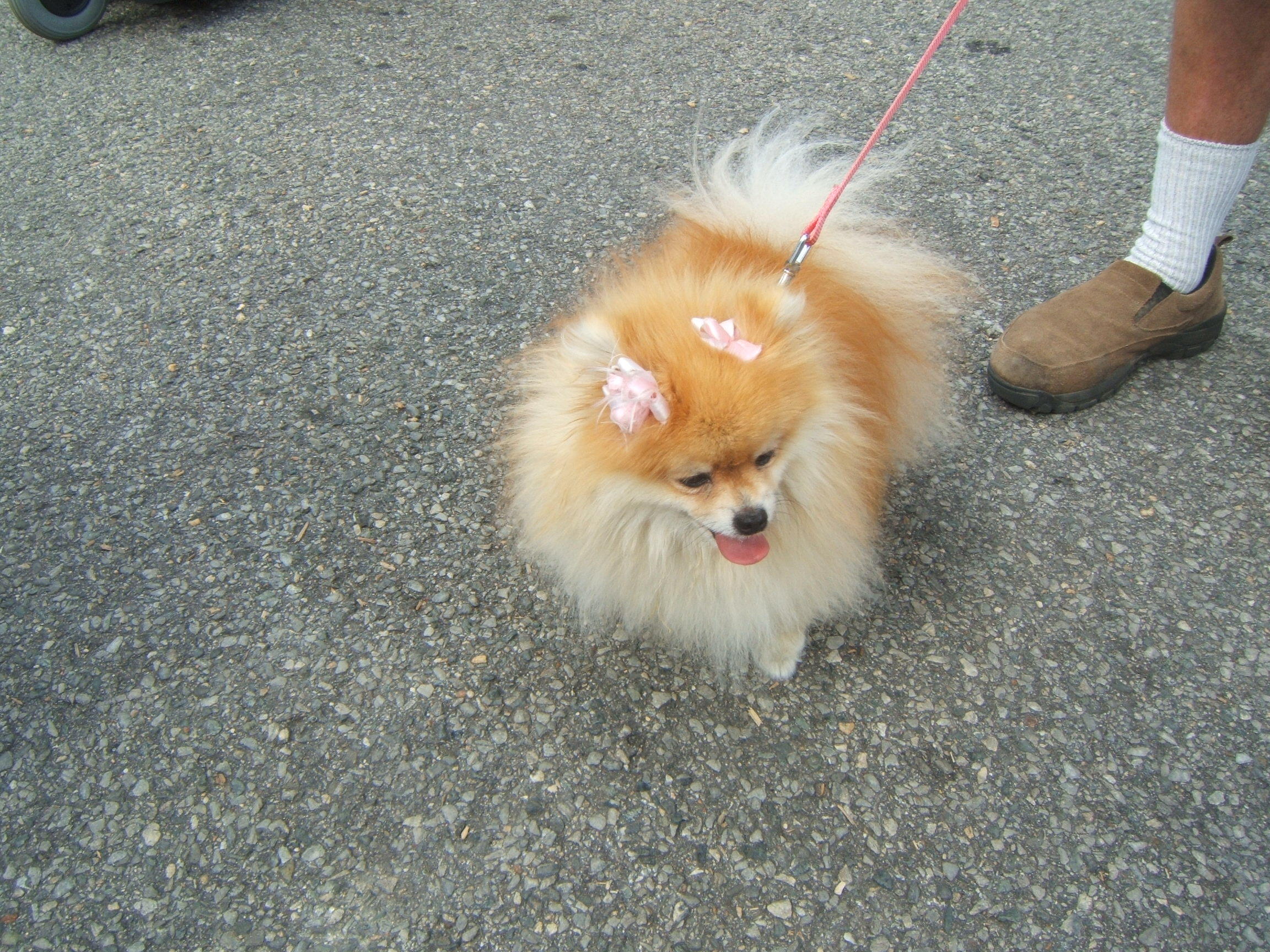 DSCF0836.JPG