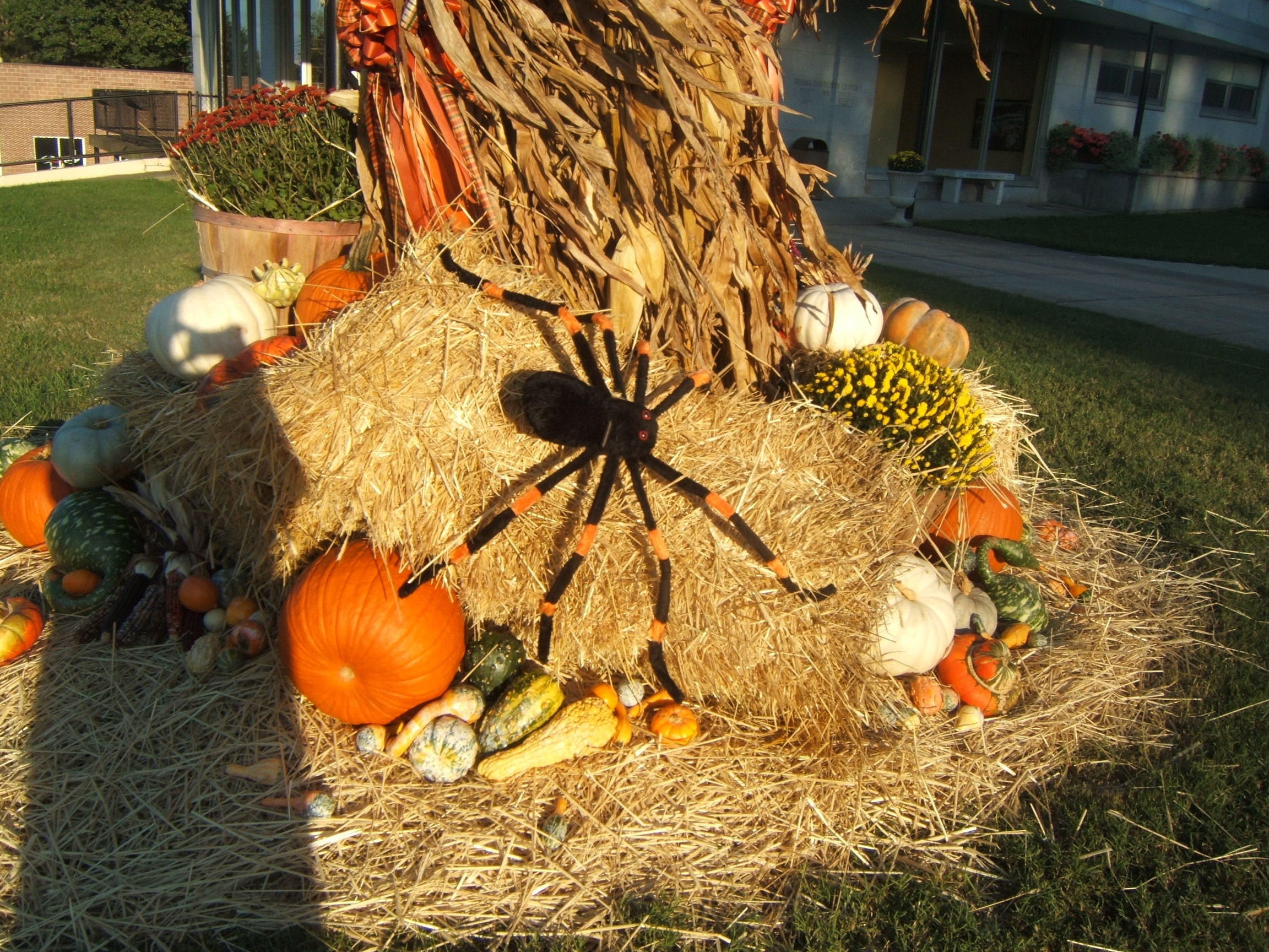 FALL FEST 