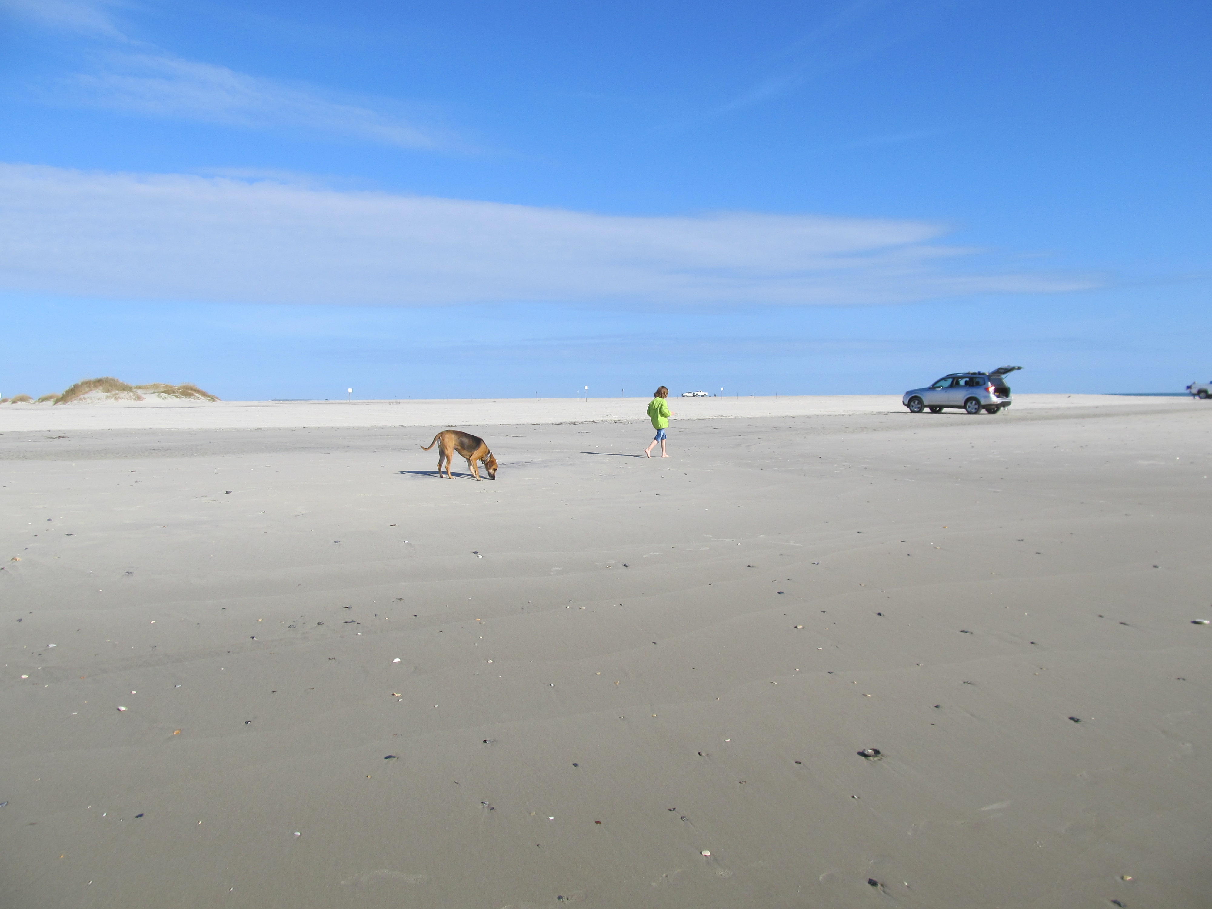 VASTNESS