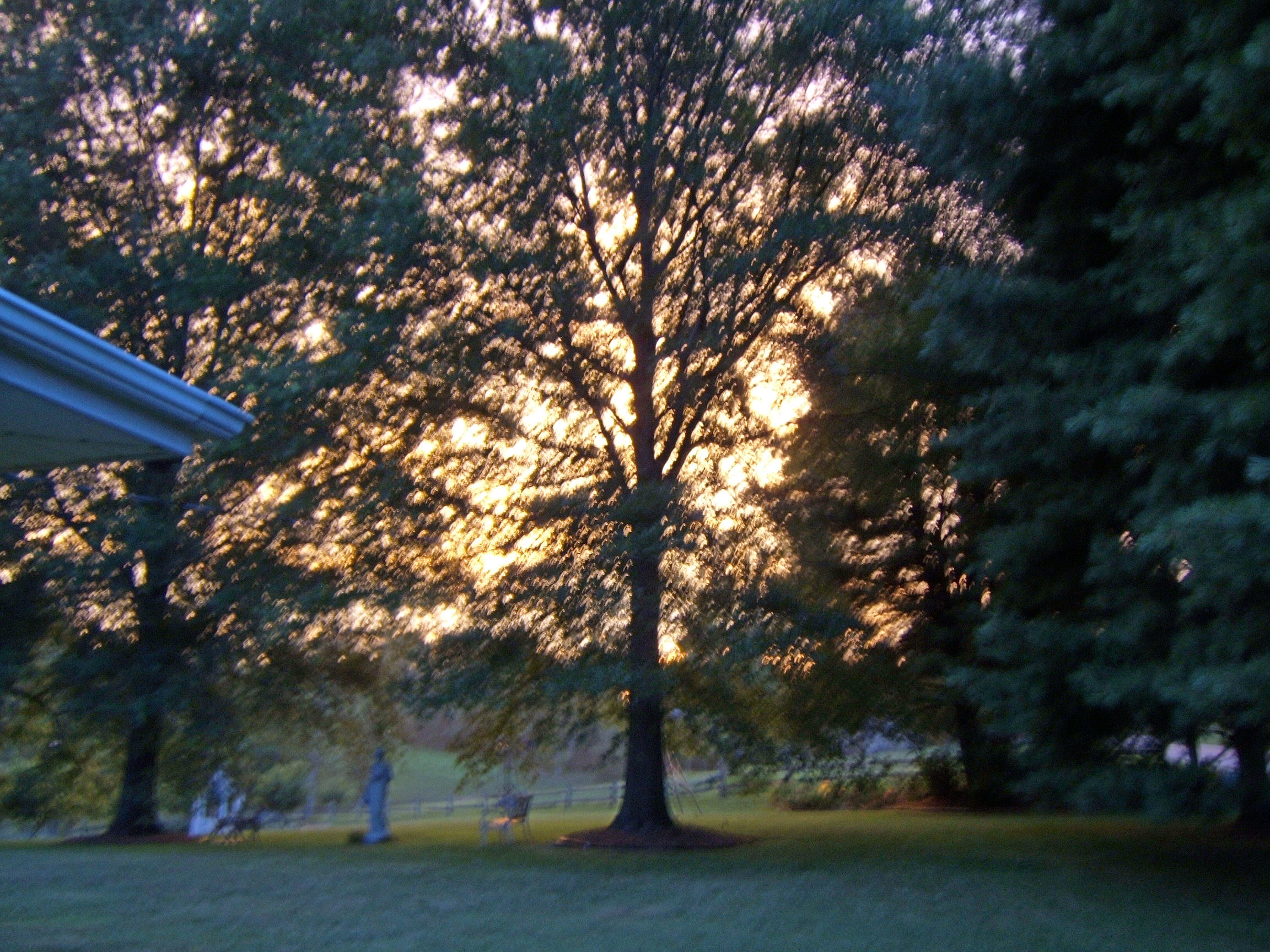  ....After the storm  sweet promise