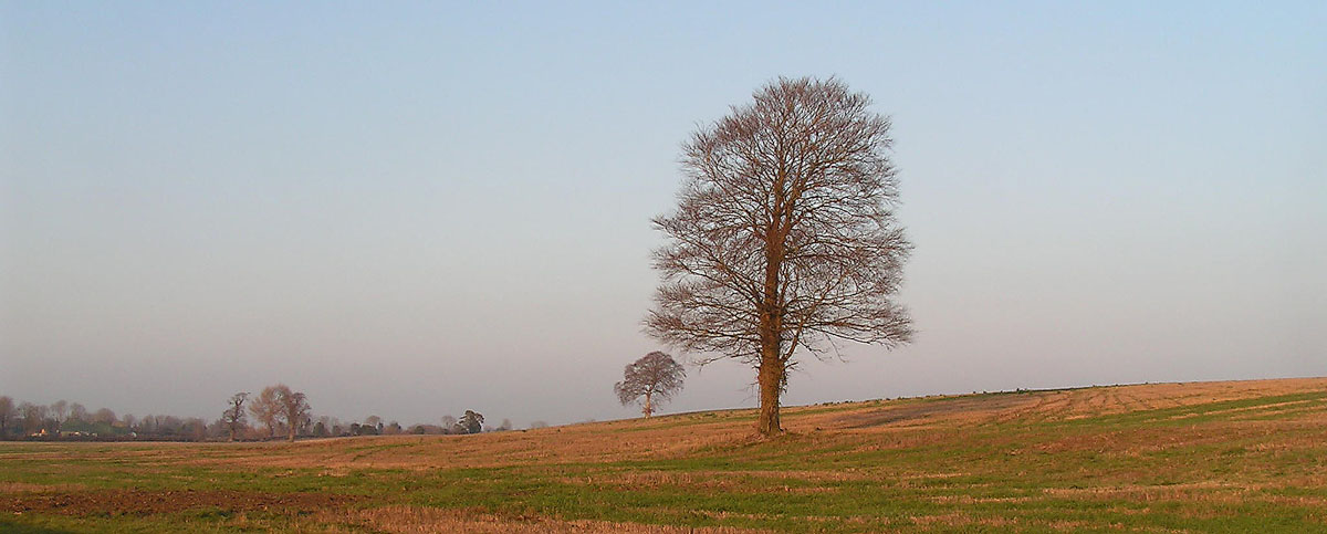 Carlow