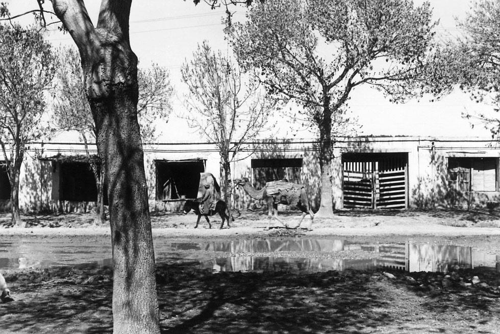 Balkh