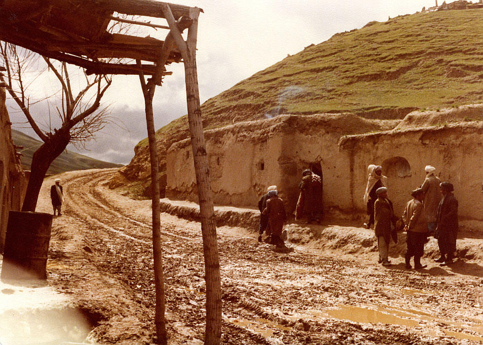 Turkestan roadside