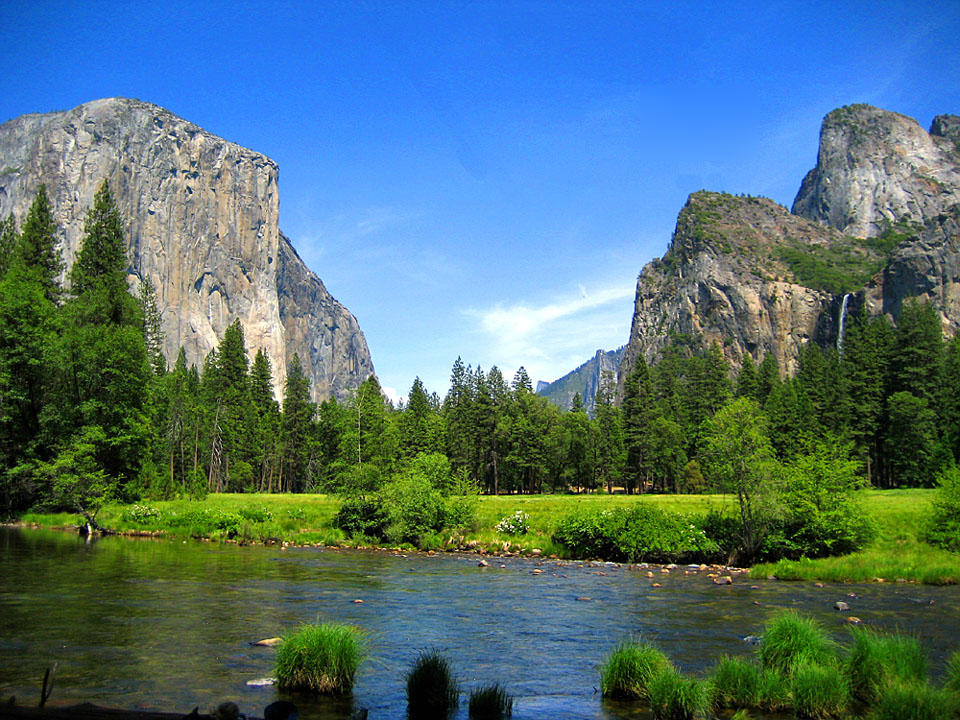Yosemite river meadow