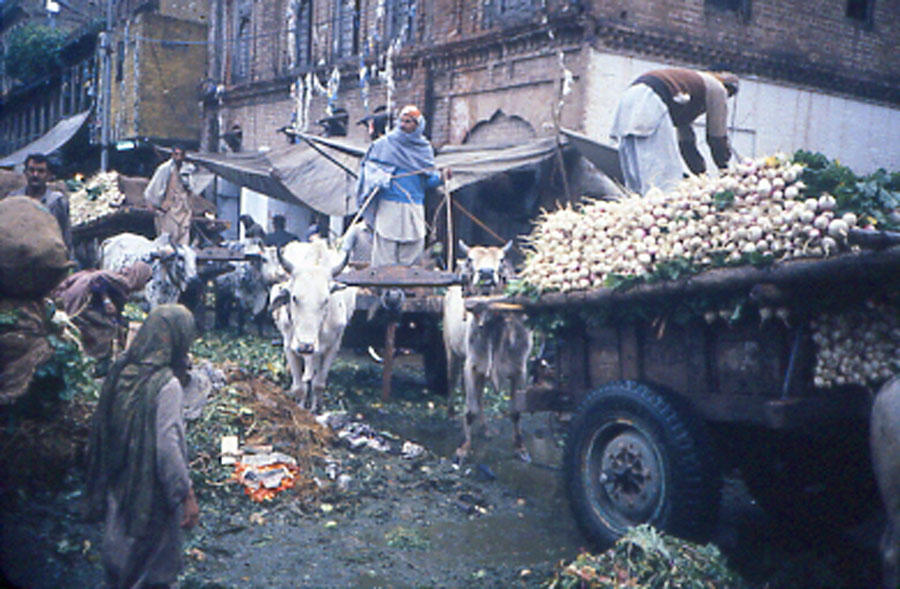 Pindi-sabzi mandi