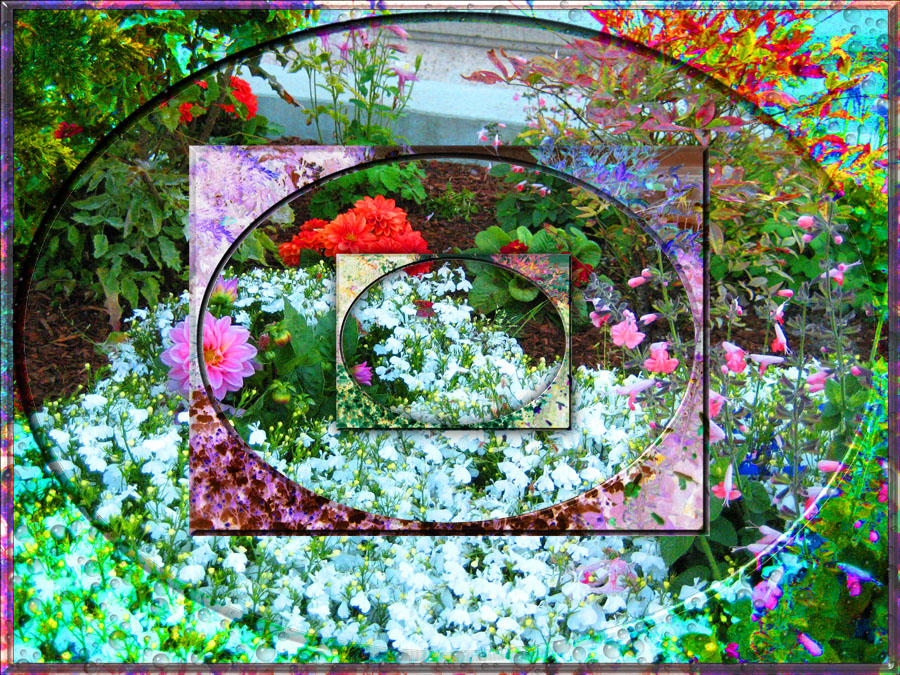 Flowers on Nob Hill