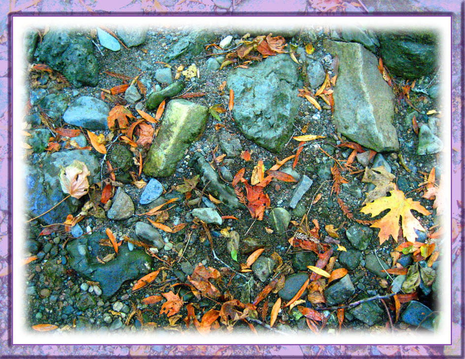 Rocks and leaves