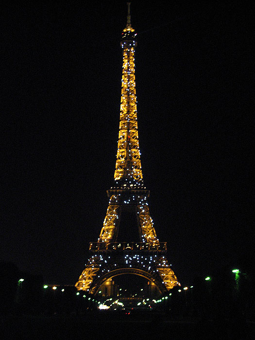 Eiffel Tower Visit (Tour dEiffel a nuit)