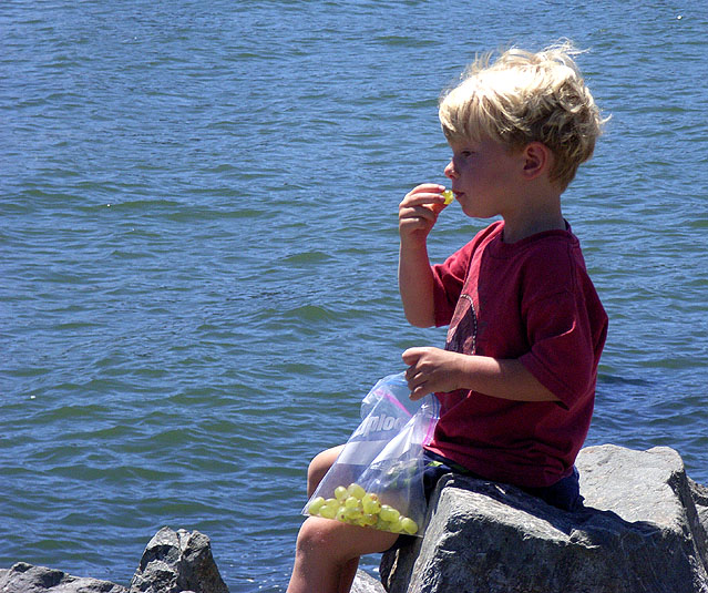 Boy Having Snack In Tiburon, CA