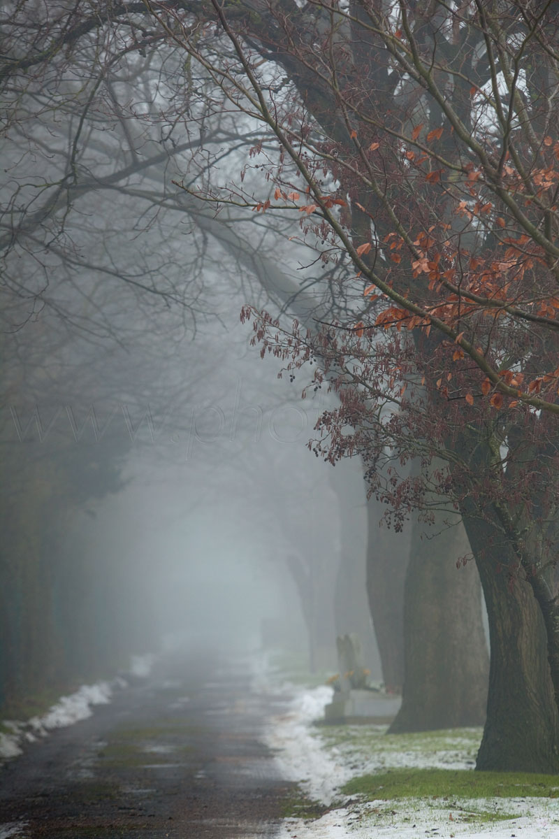 Blind Alley