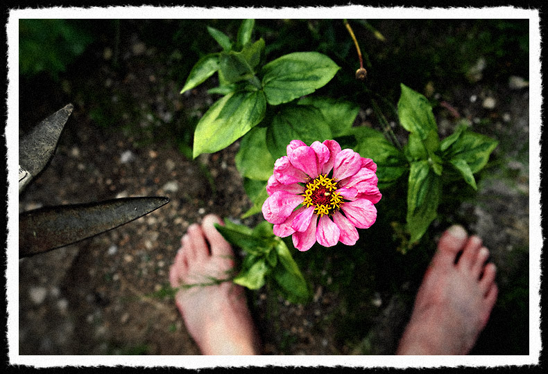 8th: My Beloved<br>by mschf