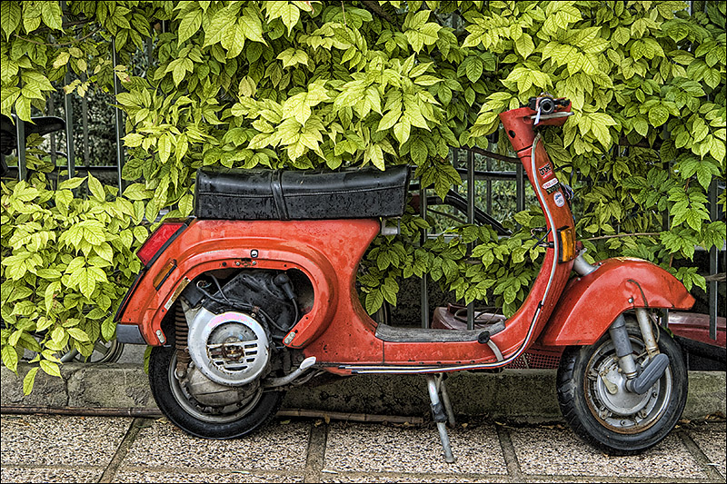 Il Tricolore<br>by Franky2005