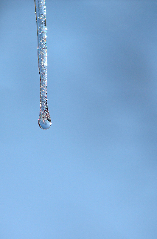 One Very Cold Drop<br><b><i>8th Place</i></b>