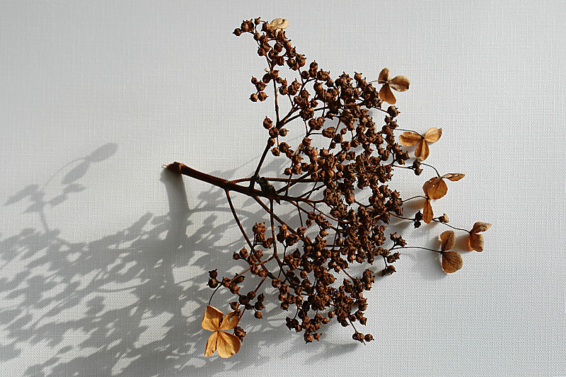Remainders <br>  by Bev Brink