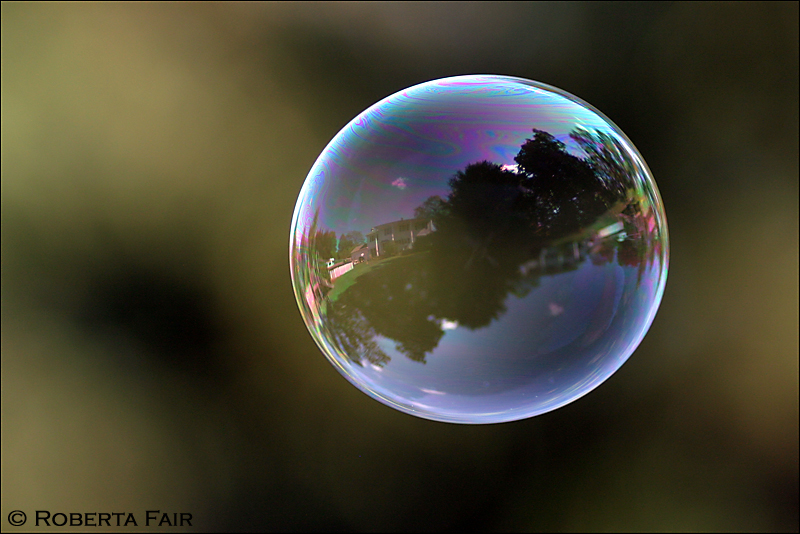 Bubble<br><b><i>4th Place</i></b>