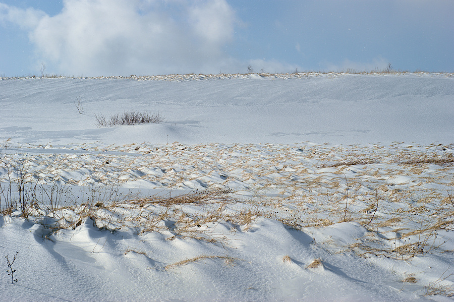 In The Bleak Mid-Winter