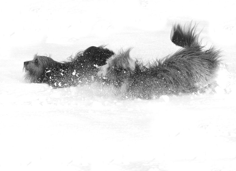 Soft Landing