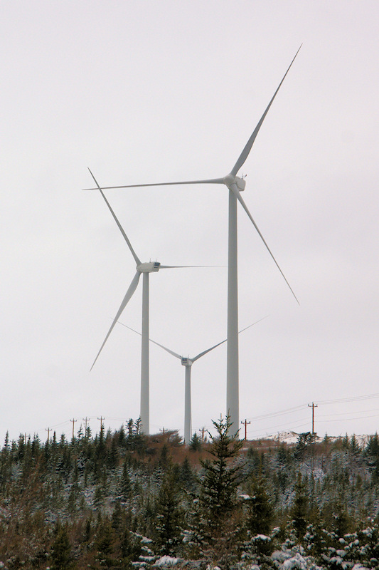 When The Wind Blows...