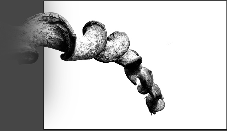 This aint no corkscrew<br>by Franky2005