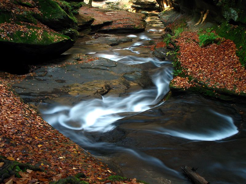 Swirly curvy stream<br>by Steve Liebenauer