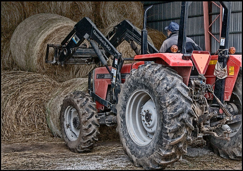 getting some hay