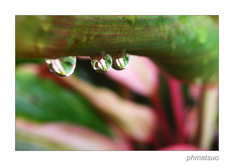 3 drops <br>by phmatsuo