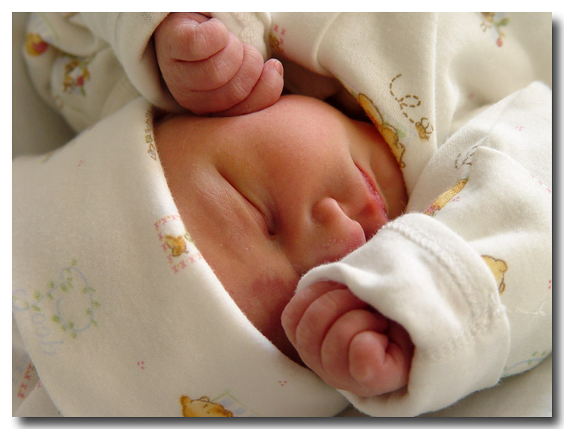 Tiny Hands <br> by Cynthiana Kenison