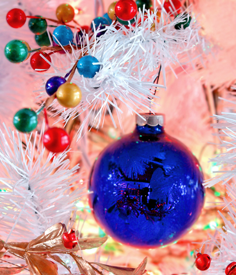 A Reflection-of-the-Season<br>by R Johns