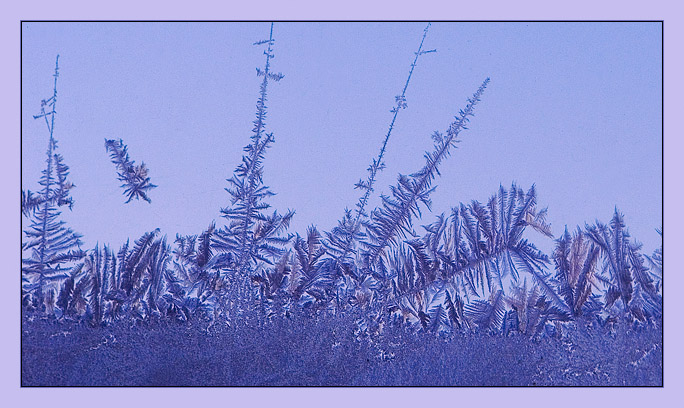 Frost*<br>by mlynn